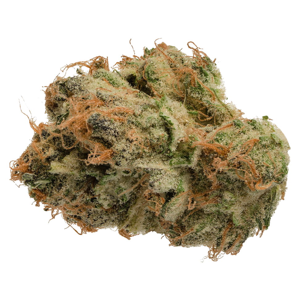 Tropicanna
